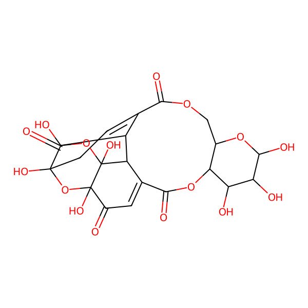 1,3,10,11,12,21,23-Heptahydroxy-2,8,13,16,22-pentaoxahexacyclo[16.5.2 ...