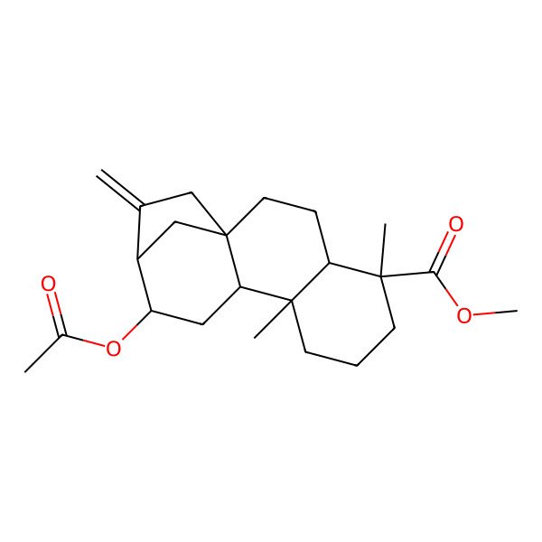 2D Structure of methyl (1S,4S,5R,9S,10R,12S,13R)-12-acetyloxy-5,9-dimethyl-14-methylidenetetracyclo[11.2.1.01,10.04,9]hexadecane-5-carboxylate