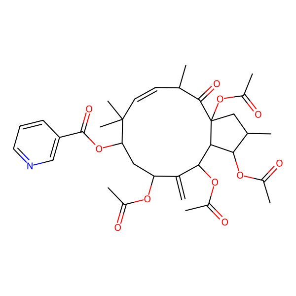 2D Structure of 3,5,7,15-Tetraacetoxy-9-nicotinoyloxy-6(17),11-jatrophadien-14-one