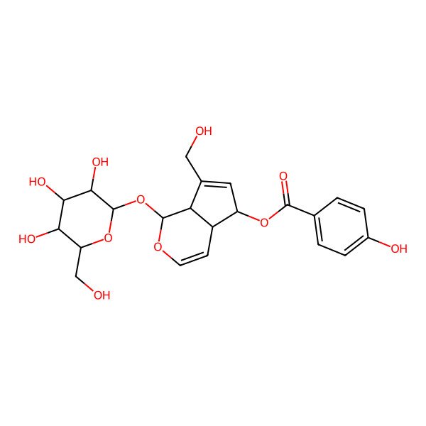 2D Structure of [(1S,4aR,5R,7aS)-7-(hydroxymethyl)-1-[(2S,3R,4S,5S,6R)-3,4,5-trihydroxy-6-(hydroxymethyl)oxan-2-yl]oxy-1,4a,5,7a-tetrahydrocyclopenta[c]pyran-5-yl] 4-hydroxybenzoate