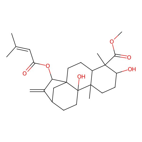2D Structure of Methyl 6,10-dihydroxy-5,9-dimethyl-15-(3-methylbut-2-enoyloxy)-14-methylidenetetracyclo[11.2.1.01,10.04,9]hexadecane-5-carboxylate
