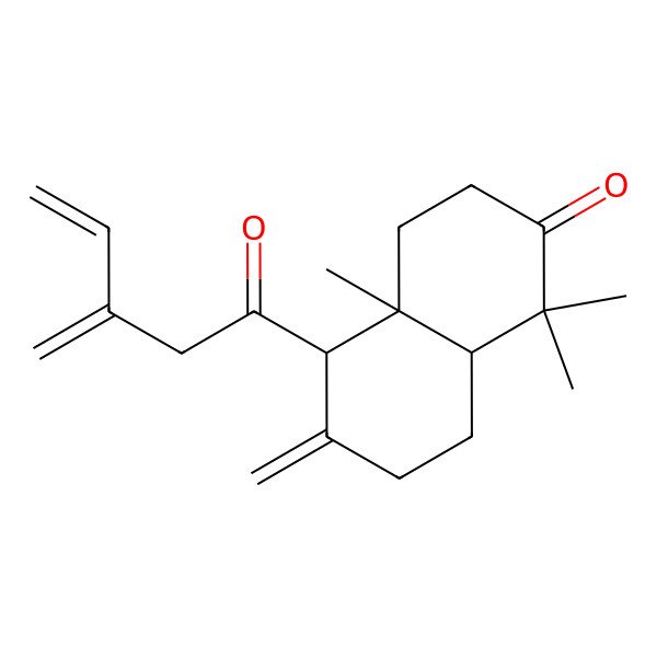 2D Structure of (4aS,5S,8aR)-1,1,4a-trimethyl-6-methylidene-5-(3-methylidenepent-4-enoyl)-3,4,5,7,8,8a-hexahydronaphthalen-2-one