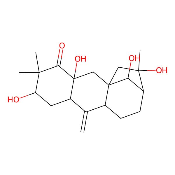 2D Structure of 3,6,14,16-Tetrahydroxy-5,5,14-trimethyl-9-methylidenetetracyclo[11.2.1.01,10.03,8]hexadecan-4-one