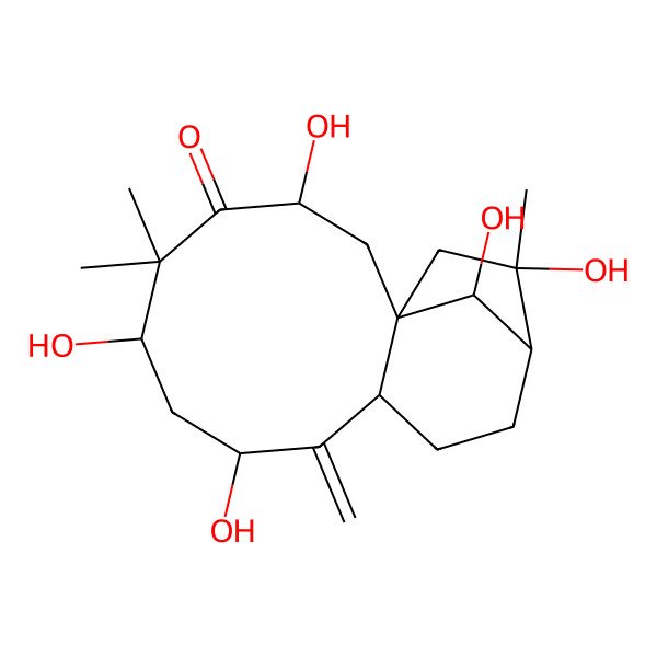 2D Structure of 3,6,8,14,16-Pentahydroxy-5,5,14-trimethyl-9-methylidenetricyclo[11.2.1.01,10]hexadecan-4-one