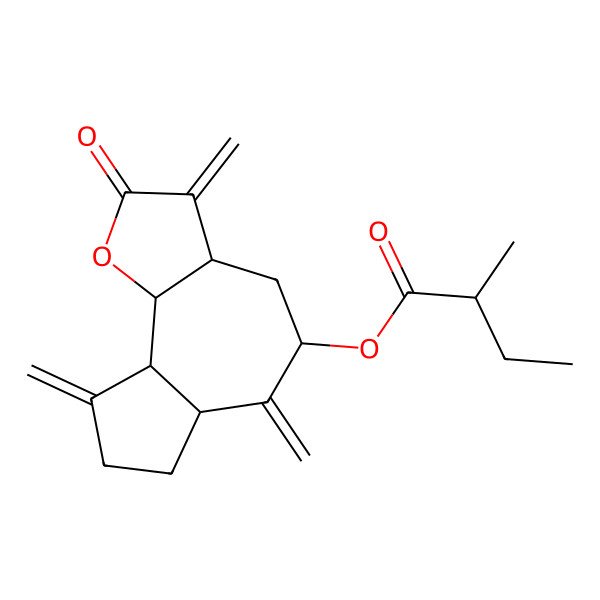 2D Structure of (3,6,9-Trimethylidene-2-oxo-3a,4,5,6a,7,8,9a,9b-octahydroazuleno[4,5-b]furan-5-yl) 2-methylbutanoate