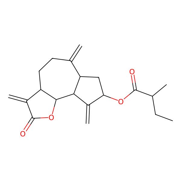 2D Structure of (3,6,9-Trimethylidene-2-oxo-3a,4,5,6a,7,8,9a,9b-octahydroazuleno[4,5-b]furan-8-yl) 2-methylbutanoate