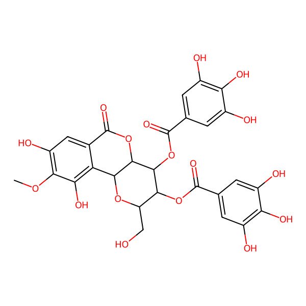 2D Structure of [8,10-dihydroxy-2-(hydroxymethyl)-9-methoxy-6-oxo-4-(3,4,5-trihydroxybenzoyl)oxy-3,4,4a,10b-tetrahydro-2H-pyrano[3,2-c]isochromen-3-yl] 3,4,5-trihydroxybenzoate