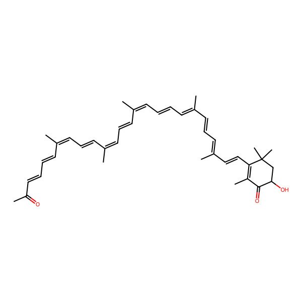 2D Structure of 6-hydroxy-2,4,4-trimethyl-3-[(1E,3E,5E,7E,9E,11E,13E,15E,17E,19E,21E,23E)-3,7,12,16,20-pentamethyl-25-oxohexacosa-1,3,5,7,9,11,13,15,17,19,21,23-dodecaenyl]cyclohex-2-en-1-one