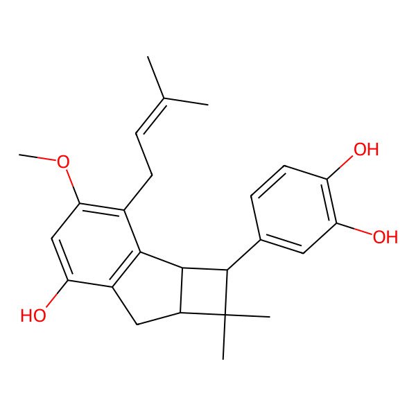 2D Structure of 4-[6-Hydroxy-4-methoxy-1,1-dimethyl-3-(3-methylbut-2-enyl)-2,2a,7,7a-tetrahydrocyclobuta[a]inden-2-yl]benzene-1,2-diol