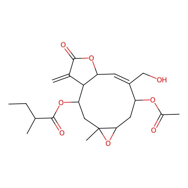 2D Structure of [8-Acetyloxy-9-(hydroxymethyl)-4-methyl-14-methylidene-13-oxo-5,12-dioxatricyclo[9.3.0.04,6]tetradec-9-en-2-yl] 2-methylbutanoate