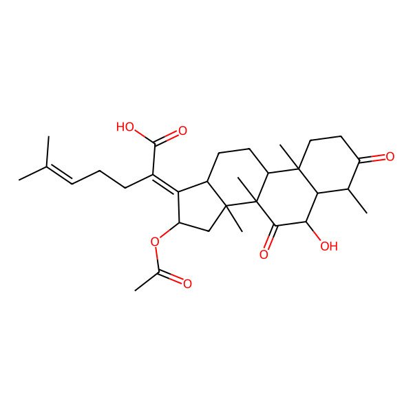 2D Structure of 3,7-diketocephalosporin P1