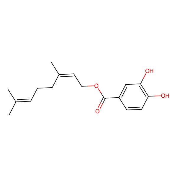 2D Structure of 3,7-Dimethylocta-2,6-dienyl 3,4-dihydroxybenzoate 2D Structure of 3,7-Dimethylocta-2,6-dienyl 3,4-dihydroxybenzoate