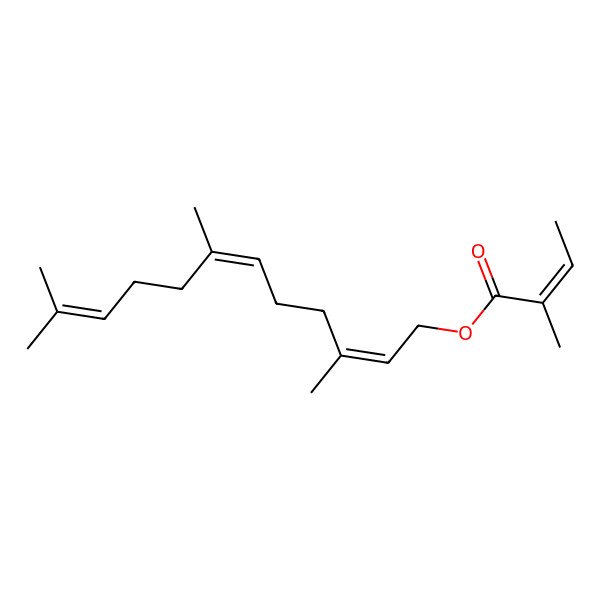 2D Structure of 3,7,11-Trimethyldodeca-2,6,10-trienyl 2-methylbut-2-enoate 2D Structure of 3,7,11-Trimethyldodeca-2,6,10-trienyl 2-methylbut-2-enoate