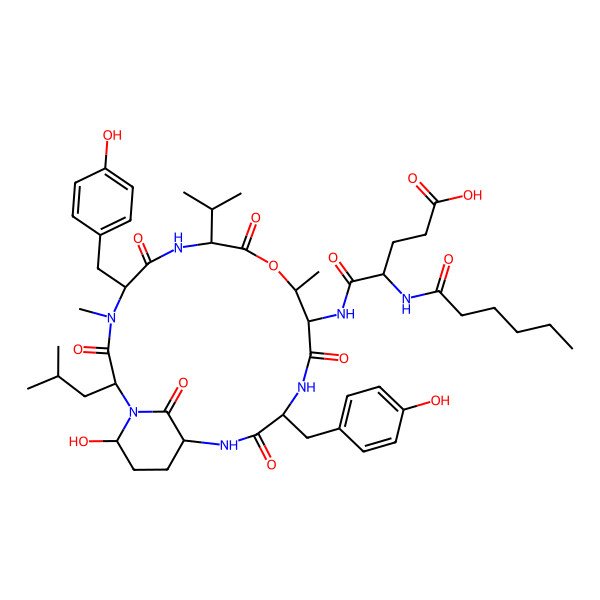 2D Structure of 4-(Hexanoylamino)-5-[[21-hydroxy-5,15-bis[(4-hydroxyphenyl)methyl]-4,11-dimethyl-2-(2-methylpropyl)-3,6,9,13,16,22-hexaoxo-8-propan-2-yl-10-oxa-1,4,7,14,17-pentazabicyclo[16.3.1]docosan-12-yl]amino]-5-oxopentanoic acid