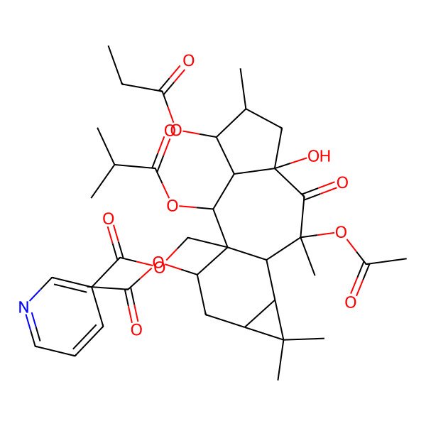 2D Structure of [(1R,2R,3R,4S,5S,7R,9S,10R,11S,13S,15R)-9,15-diacetyloxy-7-hydroxy-5,9,12,12-tetramethyl-2-(2-methylpropanoyloxy)-8-oxo-4-propanoyloxy-1-tetracyclo[8.5.0.03,7.011,13]pentadecanyl]methyl pyridine-3-carboxylate
