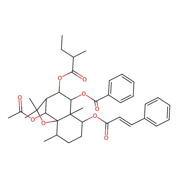 2D Structure of [12-Acetyloxy-2,6,10,10-tetramethyl-8-(2-methylbutanoyloxy)-5-(3-phenylprop-2-enoyloxy)-11-oxatricyclo[7.2.1.01,6]dodecan-7-yl] benzoate