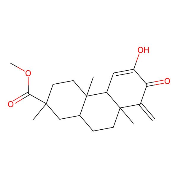 2D Structure of methyl (2S,4aS,4bR,8aS,10aS)-6-hydroxy-2,4a,8a-trimethyl-8-methylidene-7-oxo-3,4,4b,9,10,10a-hexahydro-1H-phenanthrene-2-carboxylate