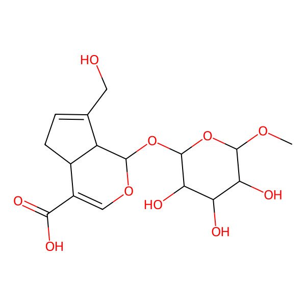 2D Structure of (1S,4aS,7aS)-7-(hydroxymethyl)-1-[(2R,3R,4S,5S,6S)-3,4,5-trihydroxy-6-methoxyoxan-2-yl]oxy-1,4a,5,7a-tetrahydrocyclopenta[c]pyran-4-carboxylic acid