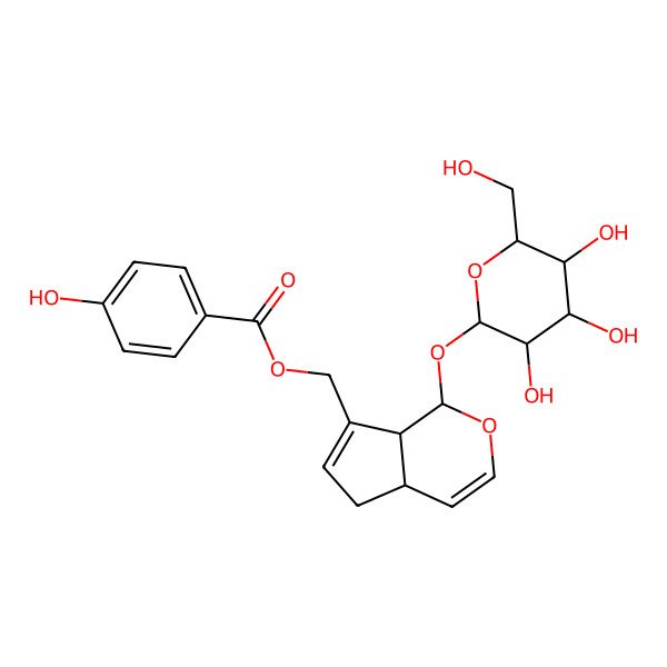 2D Structure of [1-[3,4,5-Trihydroxy-6-(hydroxymethyl)oxan-2-yl]oxy-1,4a,5,7a-tetrahydrocyclopenta[c]pyran-7-yl]methyl 4-hydroxybenzoate
