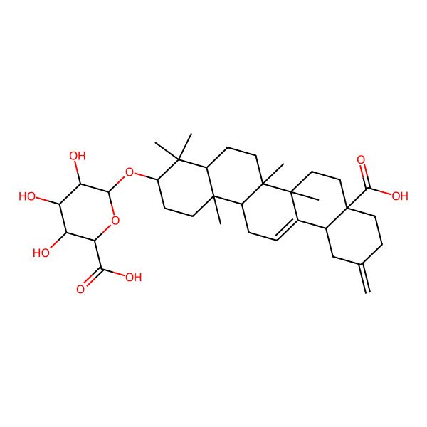 2D Structure of 6-[(8a-Carboxy-4,4,6a,6b,14b-pentamethyl-11-methylidene-1,2,3,4a,5,6,7,8,9,10,12,12a,14,14a-tetradecahydropicen-3-yl)oxy]-3,4,5-trihydroxyoxane-2-carboxylic acid