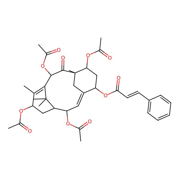 2D Structure of (2,7,10,13-Tetraacetyloxy-8,12,15,15-tetramethyl-9-oxo-5-tricyclo[9.3.1.14,8]hexadeca-3,11-dienyl) 3-phenylprop-2-enoate