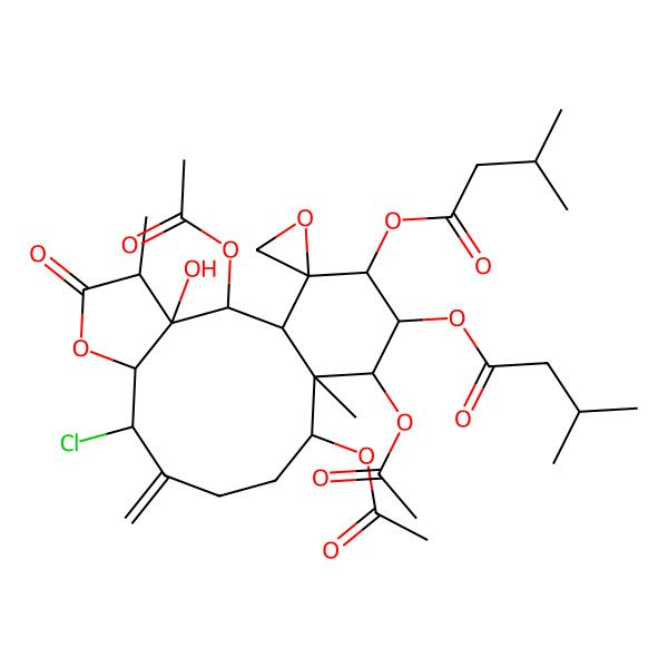 2D Structure of [(1S,2S,3R,4R,7R,8S,12S,13S,14R,15R,16R,17R)-2,12,14-triacetyloxy-8-chloro-3-hydroxy-4,13-dimethyl-16-(3-methylbutanoyloxy)-9-methylidene-5-oxospiro[6-oxatricyclo[11.4.0.03,7]heptadecane-17,2'-oxirane]-15-yl] 3-methylbutanoate