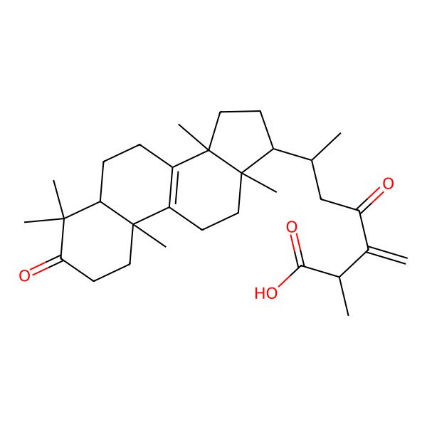 2D Structure of 2-Methyl-3-methylidene-4-oxo-6-(4,4,10,13,14-pentamethyl-3-oxo-1,2,5,6,7,11,12,15,16,17-decahydrocyclopenta[a]phenanthren-17-yl)heptanoic acid