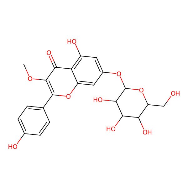 2D Structure of 5-hydroxy-2-(4-hydroxyphenyl)-3-methoxy-7-[(2R,3R,4S,5S,6R)-3,4,5-trihydroxy-6-(hydroxymethyl)oxan-2-yl]oxychromen-4-one