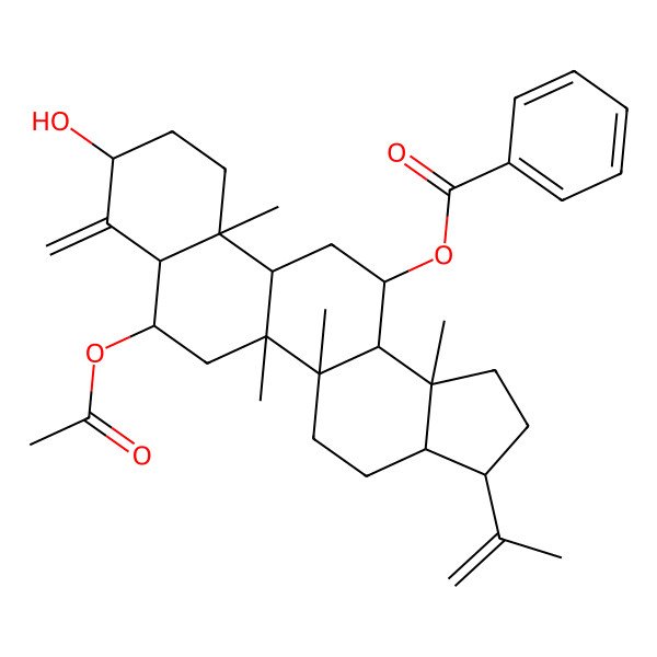 2D Structure of (7-Acetyloxy-9-hydroxy-5a,5b,11a,13b-tetramethyl-8-methylidene-3-prop-1-en-2-yl-1,2,3,3a,4,5,6,7,7a,9,10,11,11b,12,13,13a-hexadecahydrocyclopenta[a]chrysen-13-yl) benzoate