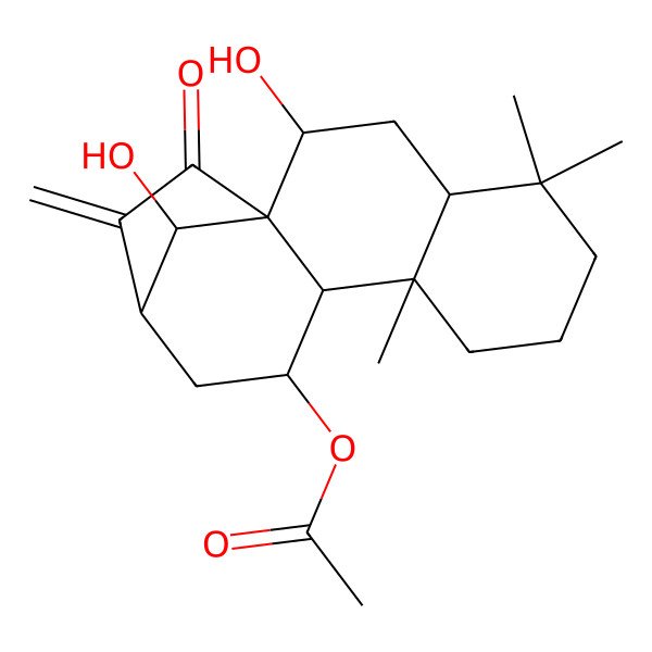 2D Structure of [(1R,2R,4R,9R,10S,11S,13S,16R)-2,16-dihydroxy-5,5,9-trimethyl-14-methylidene-15-oxo-11-tetracyclo[11.2.1.01,10.04,9]hexadecanyl] acetate