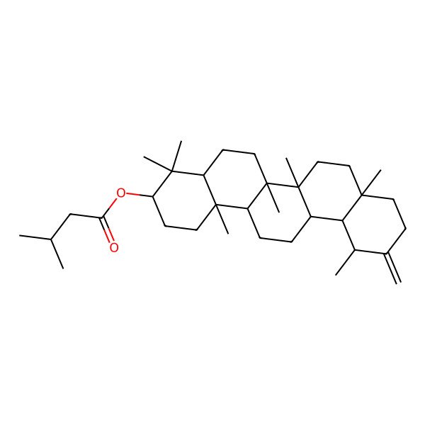 2D Structure of [(3S,4aR,6aR,6aR,6bR,8aR,12S,12aR,14aR,14bR)-4,4,6a,6b,8a,12,14b-heptamethyl-11-methylidene-1,2,3,4a,5,6,6a,7,8,9,10,12,12a,13,14,14a-hexadecahydropicen-3-yl] 3-methylbutanoate
