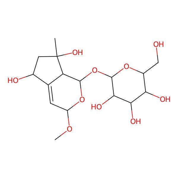 2D Structure of (2S,3R,4S,5S,6R)-2-[[(1S,3R,5R,7S,7aS)-5,7-dihydroxy-3-methoxy-7-methyl-3,5,6,7a-tetrahydro-1H-cyclopenta[c]pyran-1-yl]oxy]-6-(hydroxymethyl)oxane-3,4,5-triol