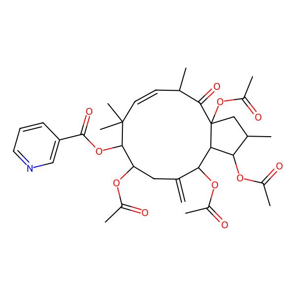 2D Structure of [(1S,2S,3aR,5S,6E,9S,10R,13R,13aR)-1,3a,10,13-tetraacetyloxy-2,5,8,8-tetramethyl-12-methylidene-4-oxo-2,3,5,9,10,11,13,13a-octahydro-1H-cyclopenta[12]annulen-9-yl] pyridine-3-carboxylate