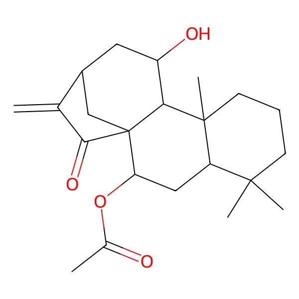 2D Structure of (11-Hydroxy-5,5,9-trimethyl-14-methylidene-15-oxo-2-tetracyclo[11.2.1.01,10.04,9]hexadecanyl) acetate