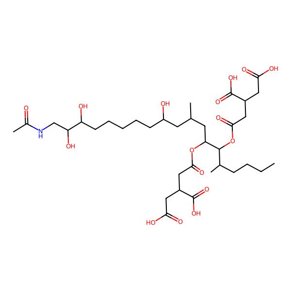 2D Structure of 2-[2-[19-Acetamido-6-(3,4-dicarboxybutanoyloxy)-11,17,18-trihydroxy-5,9-dimethylnonadecan-7-yl]oxy-2-oxoethyl]butanedioic acid