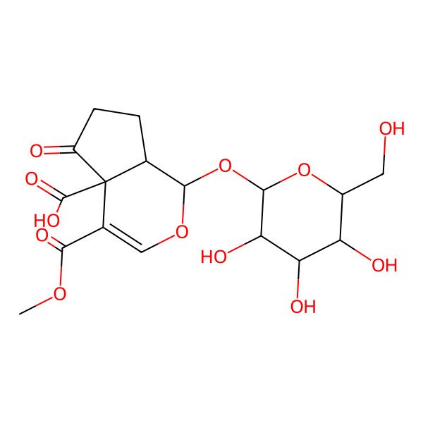 2D Structure of (1S,4aR,7aR)-4-methoxycarbonyl-5-oxo-1-[(2S,3R,4S,5S,6R)-3,4,5-trihydroxy-6-(hydroxymethyl)oxan-2-yl]oxy-1,6,7,7a-tetrahydrocyclopenta[c]pyran-4a-carboxylic acid