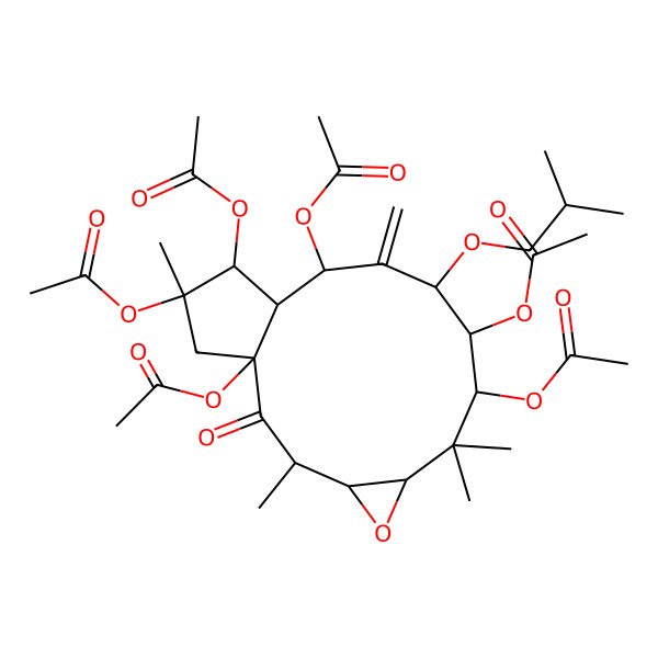 2D Structure of [(1R,3R,4S,6S,8S,9R,10R,12R,13S,14R,15R)-1,8,12,14,15-pentaacetyloxy-3,7,7,15-tetramethyl-11-methylidene-10-(2-methylpropoxy)-2-oxo-5-oxatricyclo[11.3.0.04,6]hexadecan-9-yl] acetate
