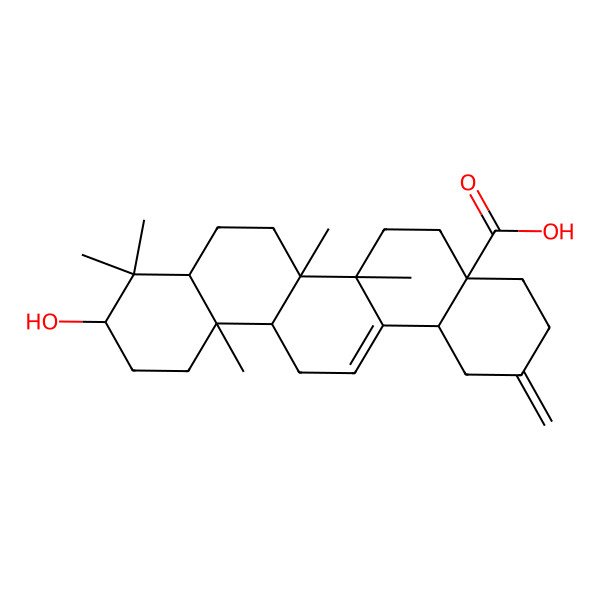2D Structure of 3alpha-Akebonoic acid