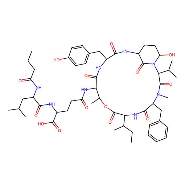 2D Structure of (2S)-5-[[(2S,5S,8S,11R,15S,18S,21R)-5-benzyl-8-[(2S)-butan-2-yl]-21-hydroxy-15-[(4-hydroxyphenyl)methyl]-4,11-dimethyl-3,6,9,13,16,22-hexaoxo-2-propan-2-yl-10-oxa-1,4,7,14,17-pentazabicyclo[16.3.1]docosan-12-yl]amino]-2-[[(2S)-2-(butanoylamino)-4-methylpentanoyl]amino]-5-oxopentanoic acid
