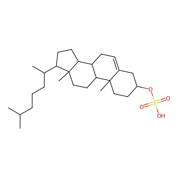 2D Structure of [10,13-dimethyl-17-(6-methylheptan-2-yl)-2,3,4,7,8,9,11,12,14,15,16,17-dodecahydro-1H-cyclopenta[a]phenanthren-3-yl] hydrogen sulfate