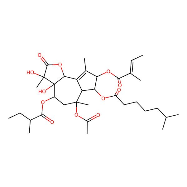 2D Structure of [(3R,3aS,4R,6R,6aS,7R,8R,9bR)-6-acetyloxy-3,3a-dihydroxy-3,6,9-trimethyl-4-[(2R)-2-methylbutanoyl]oxy-8-[(Z)-2-methylbut-2-enoyl]oxy-2-oxo-4,5,6a,7,8,9b-hexahydroazuleno[4,5-b]furan-7-yl] 6-methylheptanoate