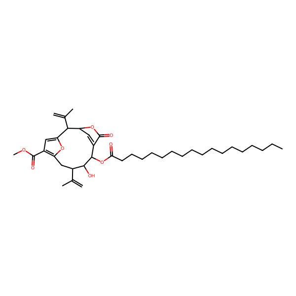 2D Structure of Methyl 8-hydroxy-7-octadecanoyloxy-5-oxo-2,9-bis(prop-1-en-2-yl)-4,14-dioxatricyclo[9.2.1.13,6]pentadeca-1(13),6(15),11-triene-12-carboxylate