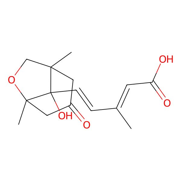 2D Structure of (2Z,4E)-5-[(5R,8S)-8-hydroxy-1,5-dimethyl-3-oxo-6-oxabicyclo[3.2.1]octan-8-yl]-3-methylpenta-2,4-dienoic acid