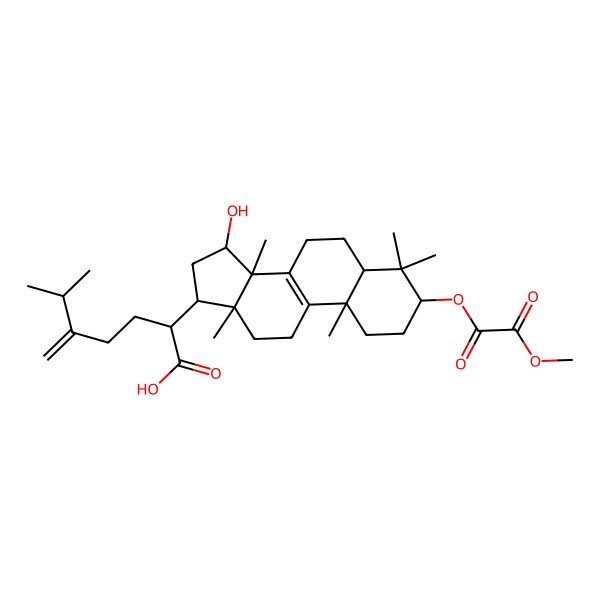 2D Structure of 3beta-(2-Methoxyoxalyloxy)-15alpha-ahydroxy-24-methylene-5alpha-lanost-8-en-21-oic acid