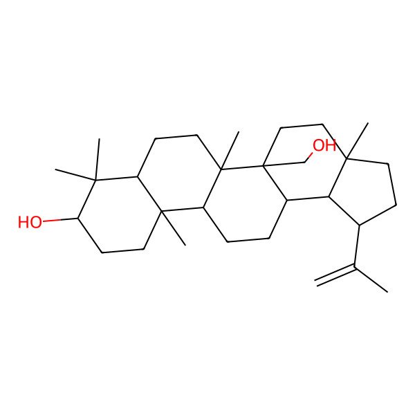 2D Structure of 3beta-20(29)-Lupene-3,27-diol 2D Structure of 3beta-20(29)-Lupene-3,27-diol