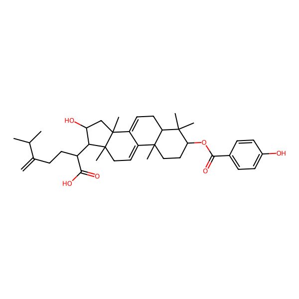 2D Structure of 3beta-p-Hydroxybenzoyldehydrotumulosic acid