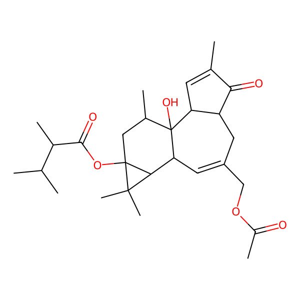 2D Structure of [8-(Acetyloxymethyl)-1-hydroxy-4,12,12,15-tetramethyl-5-oxo-13-tetracyclo[8.5.0.02,6.011,13]pentadeca-3,8-dienyl] 2,3-dimethylbutanoate