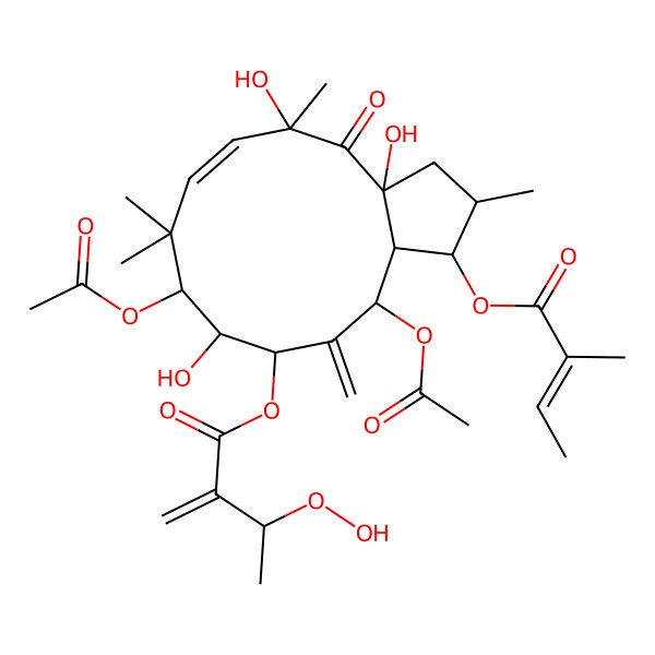 2D Structure of [(1S,2S,3aR,5R,6E,9S,10S,11S,13R,13aR)-9,13-diacetyloxy-3a,5,10-trihydroxy-2,5,8,8-tetramethyl-1-[(Z)-2-methylbut-2-enoyl]oxy-12-methylidene-4-oxo-1,2,3,9,10,11,13,13a-octahydrocyclopenta[12]annulen-11-yl] (3S)-3-hydroperoxy-2-methylidenebutanoate