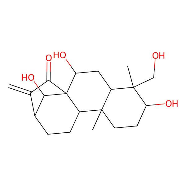 2D Structure of 2,6,16-Trihydroxy-5-(hydroxymethyl)-5,9-dimethyl-14-methylidenetetracyclo[11.2.1.01,10.04,9]hexadecan-15-one