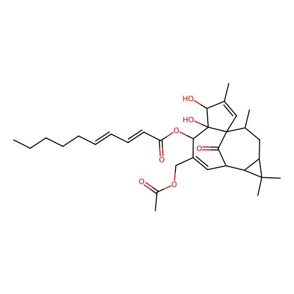 2D Structure of [(1S,4S,5R,6R,9S,10R,12R,14R)-7-(acetyloxymethyl)-4,5-dihydroxy-3,11,11,14-tetramethyl-15-oxo-6-tetracyclo[7.5.1.01,5.010,12]pentadeca-2,7-dienyl] (2E,4Z)-deca-2,4-dienoate